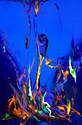 Picture for category NEW NEON LINE